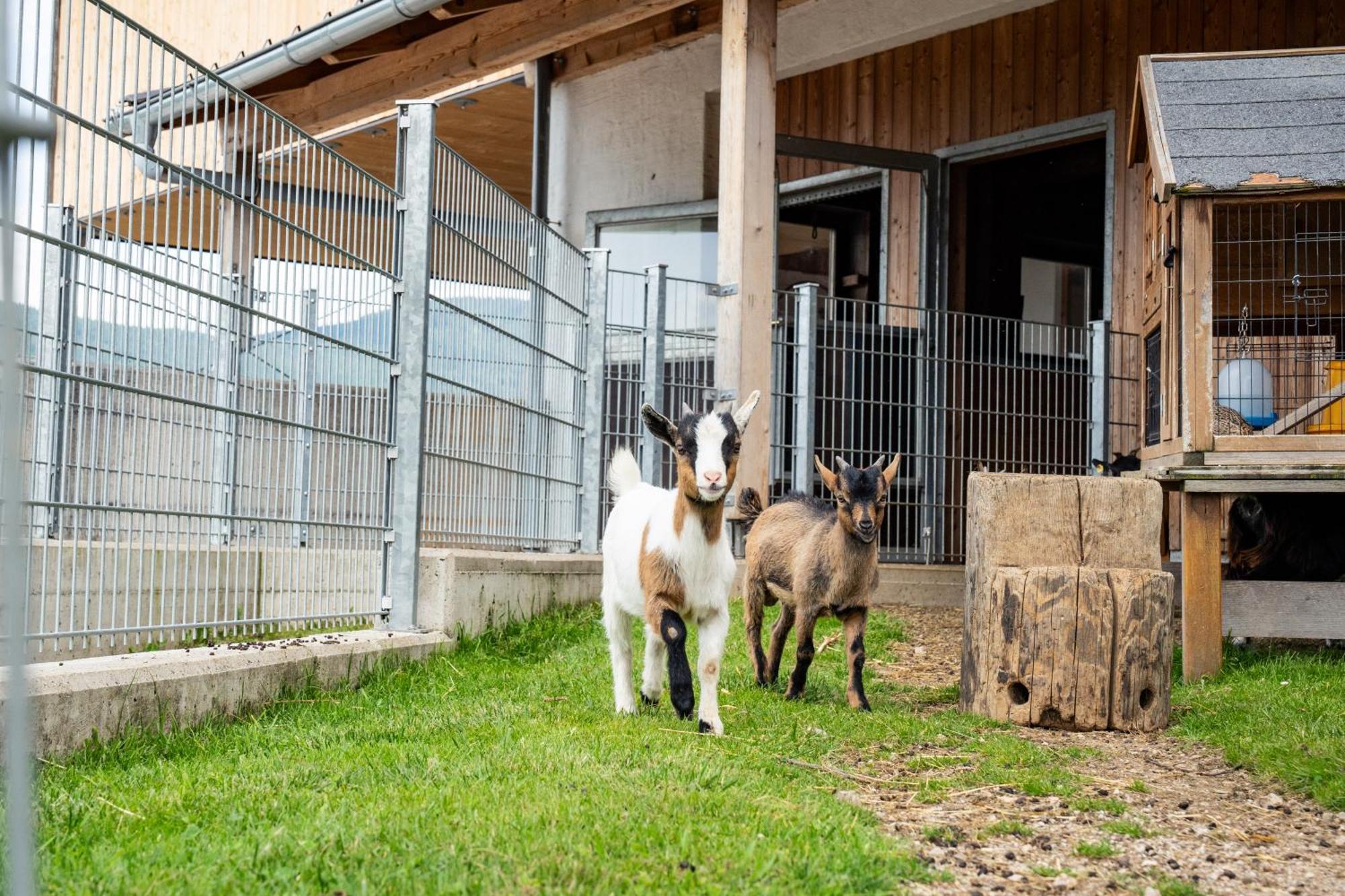 Apartament Hornergut Altenmarkt im Pongau Zewnętrze zdjęcie