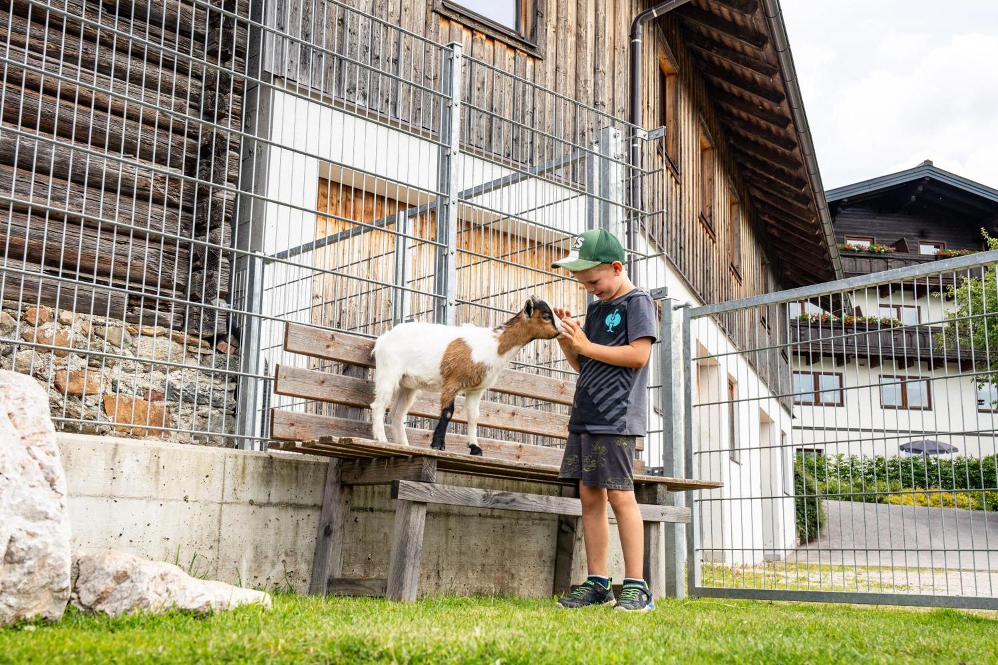 Apartament Hornergut Altenmarkt im Pongau Zewnętrze zdjęcie